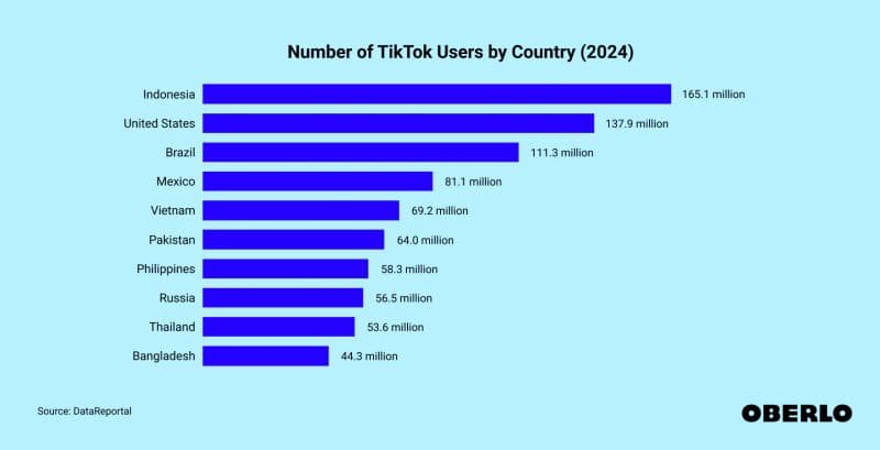 tiktok user based number