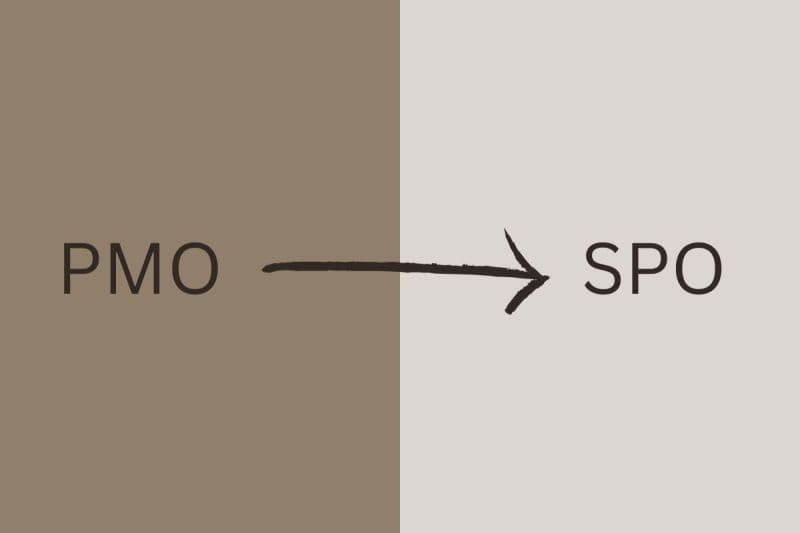 PMO di Era AI: Upgrade ke Strategic Project Officer